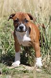 STAFFIE 101